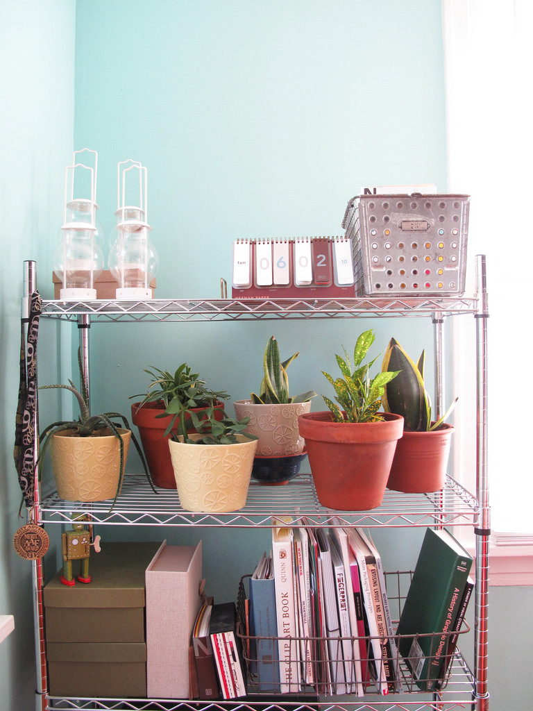 chrome wire shelving holding houseplants and books 
